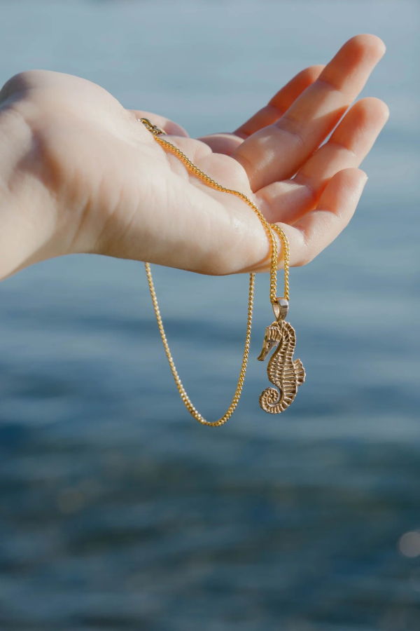 Kara Yoo Seahorse Necklace