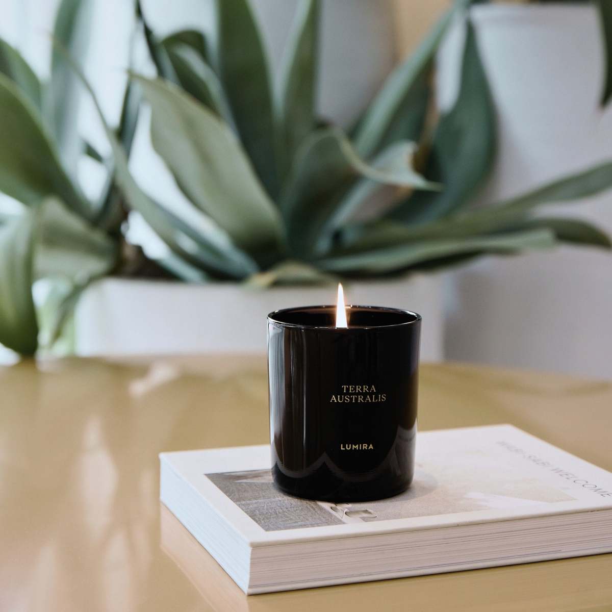 Lumira Terra Australis Candle - Image 4 of 4