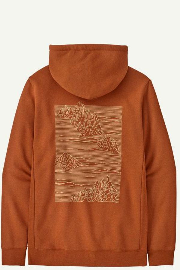 Patagonia 39699ROBN Tunic Top - ROBIN BROWN