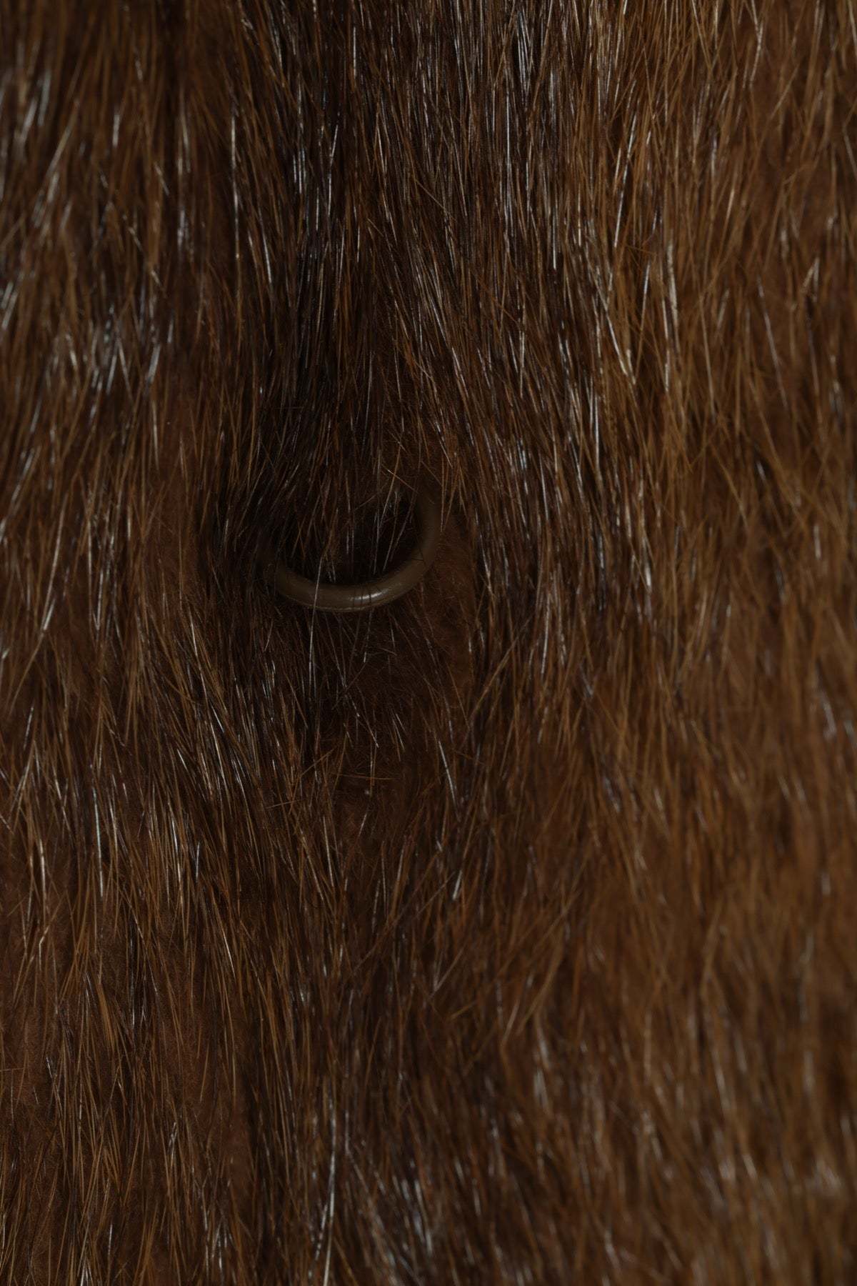 (Sweden) Vintage, 1960s, Female Ranch Mink - Image 5 of 5