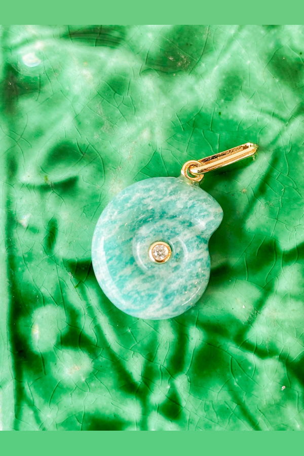 Thatch Nautilus Amazonite Charm