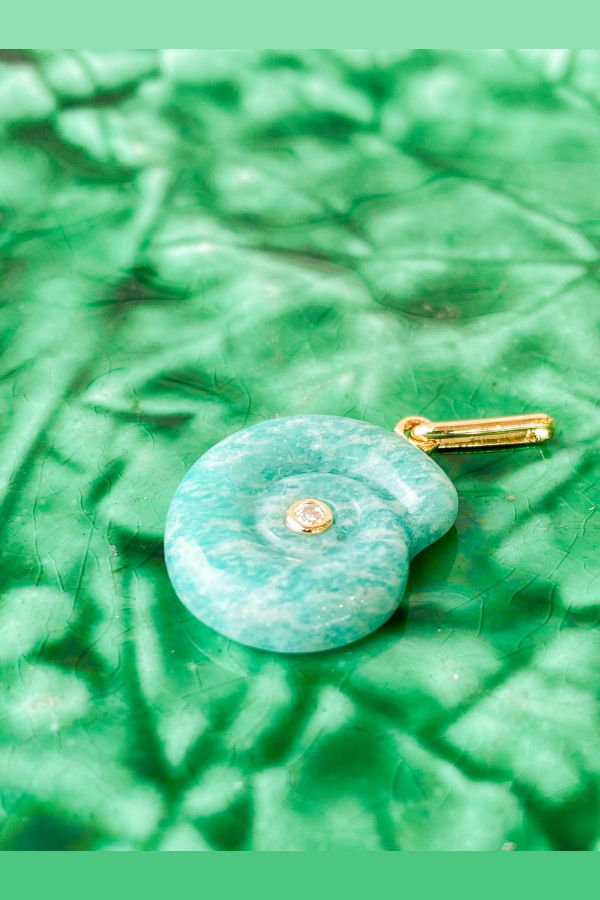 Thatch Nautilus Amazonite Charm