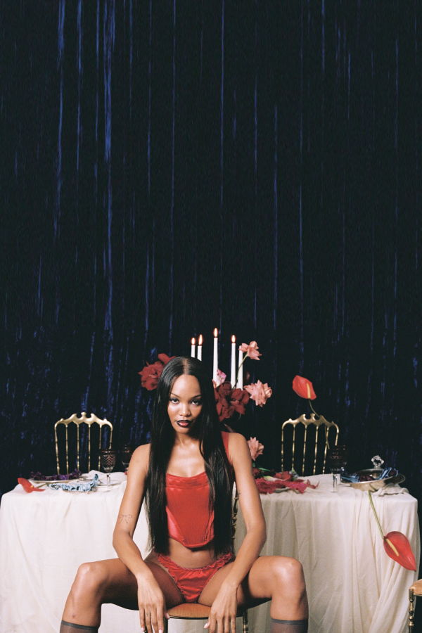 leboudoirlosangeles La Valentine Silk Tanga Panties