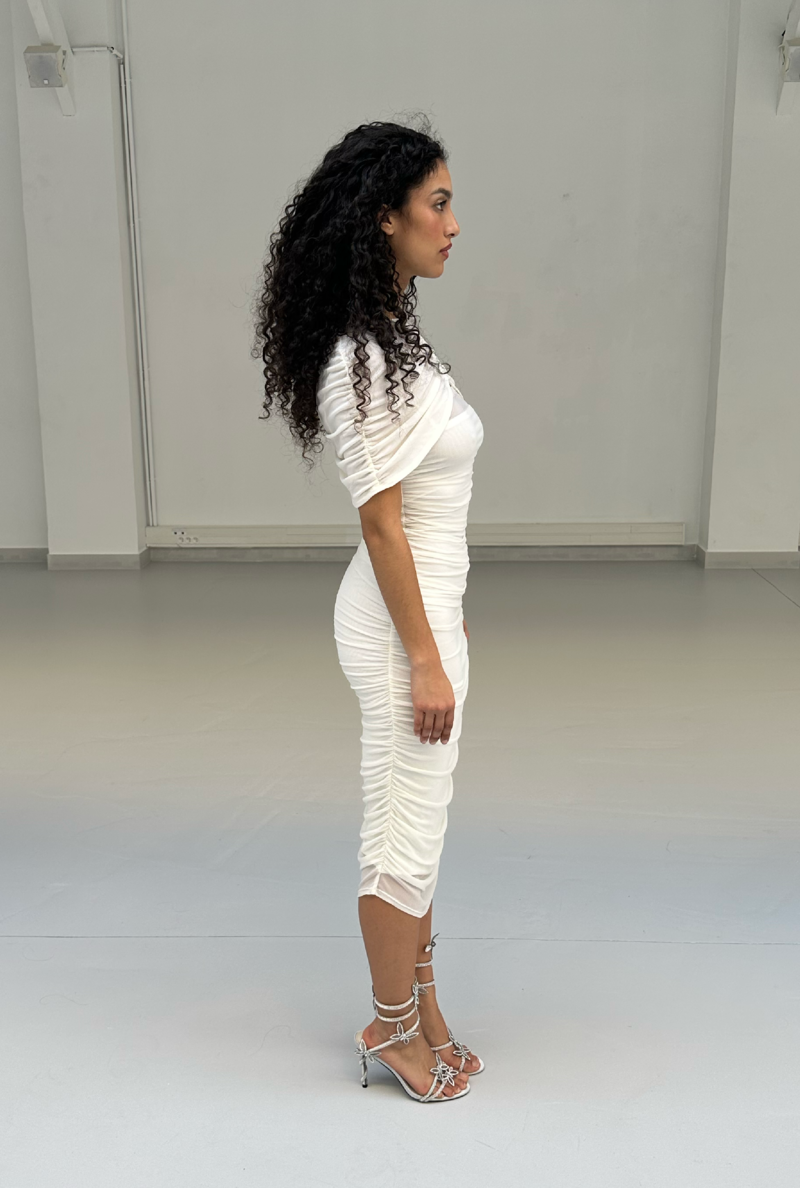 SAEMDI Zola Mesh Dress