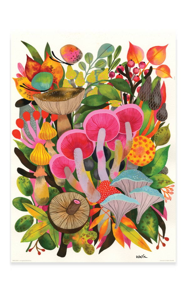 Fred & Friends Dardik Mushrooms 500 Pc Puzzle