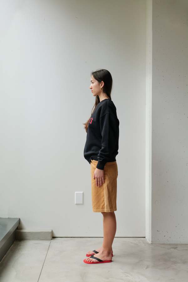 at Dawn. Hawaii Sweatshirt - Gray Heather