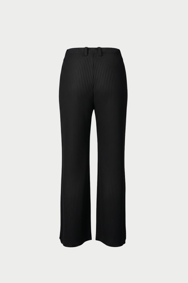 Issey Miyake Tailored Pleats 1 Pants