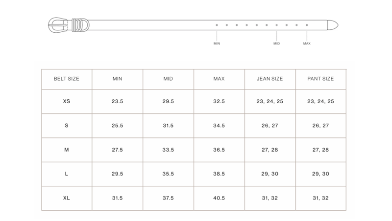Dehanche Hollyhock Silver Belt - Black