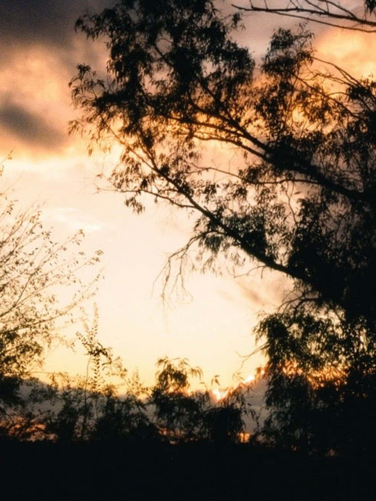 Flamingo Estate Petrichor Candle - Image 6 of 7