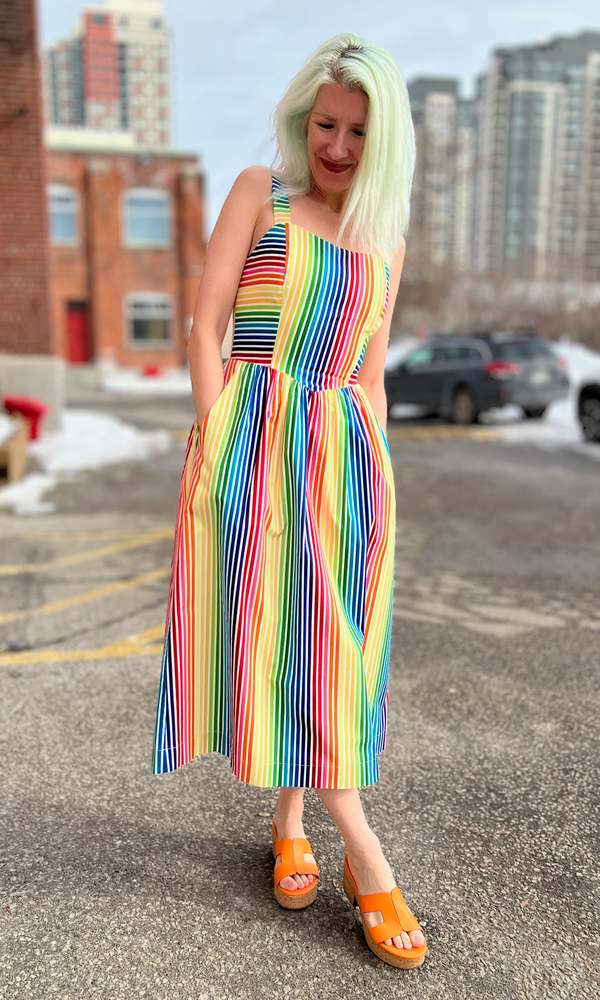 Birds of North America Heathwren Dress