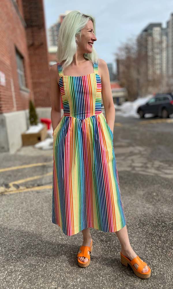 Birds of North America Heathwren Dress