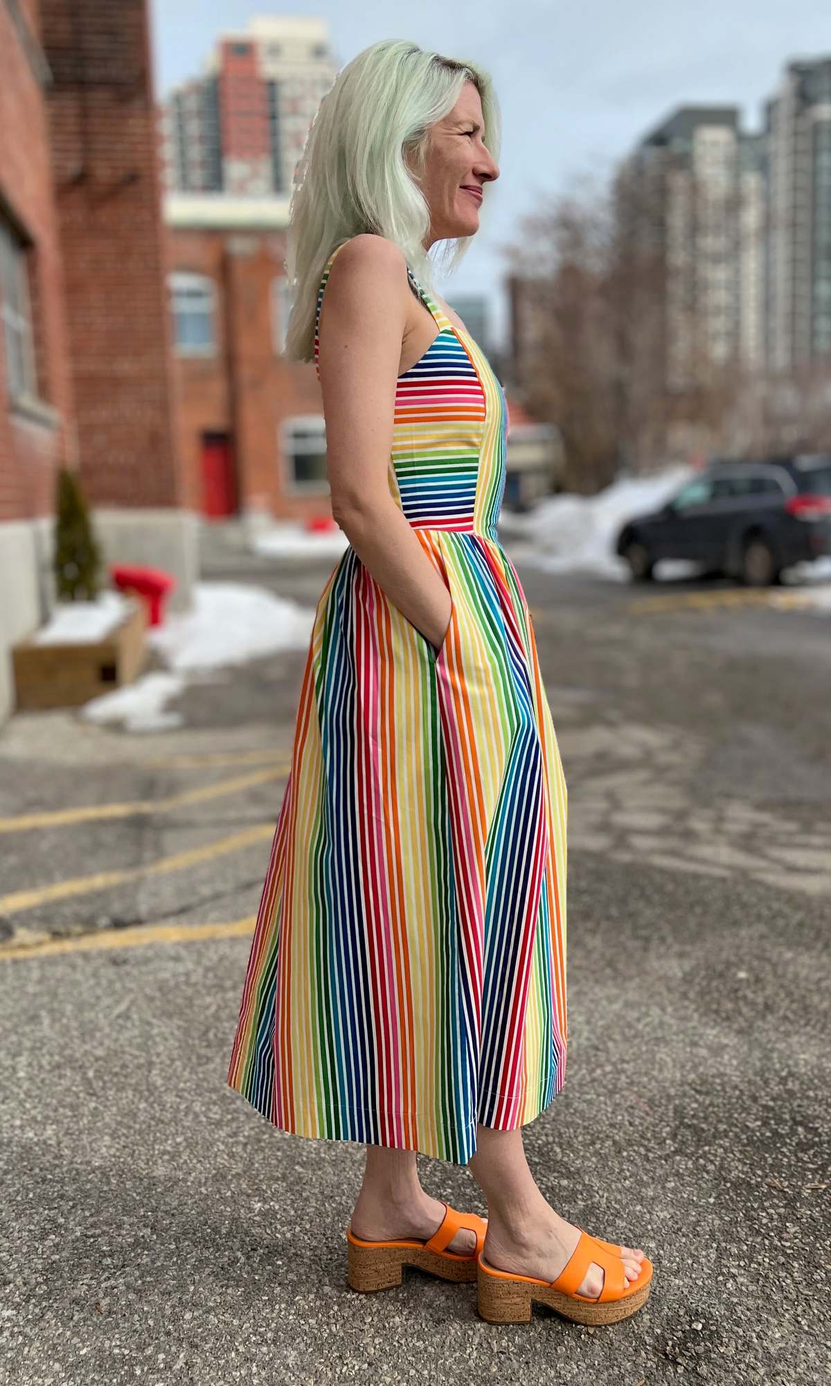 Birds of North America Heathwren Dress - Image 15 of 17