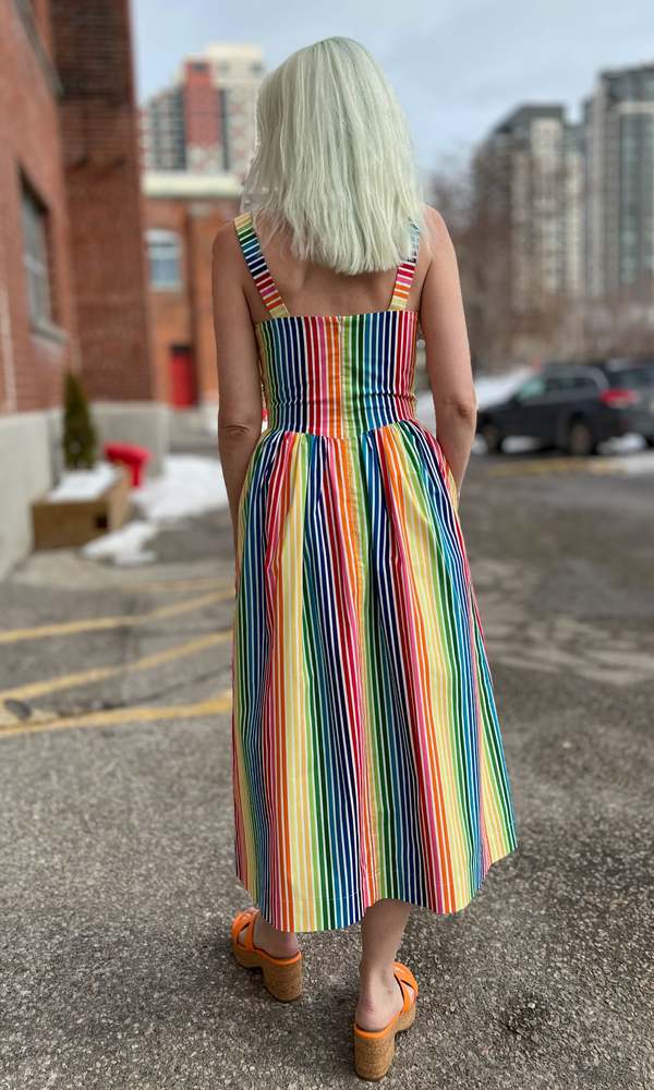 Birds of North America Heathwren Dress