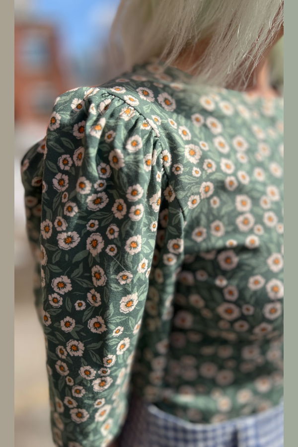 Birds of North America Peahen Top