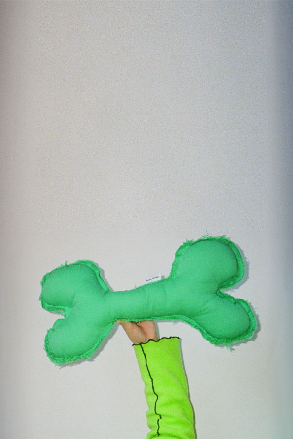 Ashley Rowe Long Bone Dog Toy