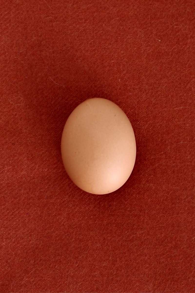 SUTRAM Alpaca Throw - Brick