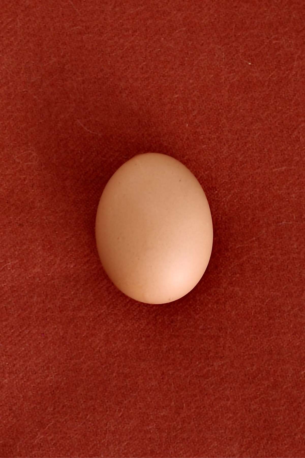 SUTRAM Alpaca Throw - Brick - Image 4 of 4