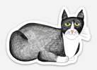Natchie Cat Cat Sticker Pack - Thumbnail 7
