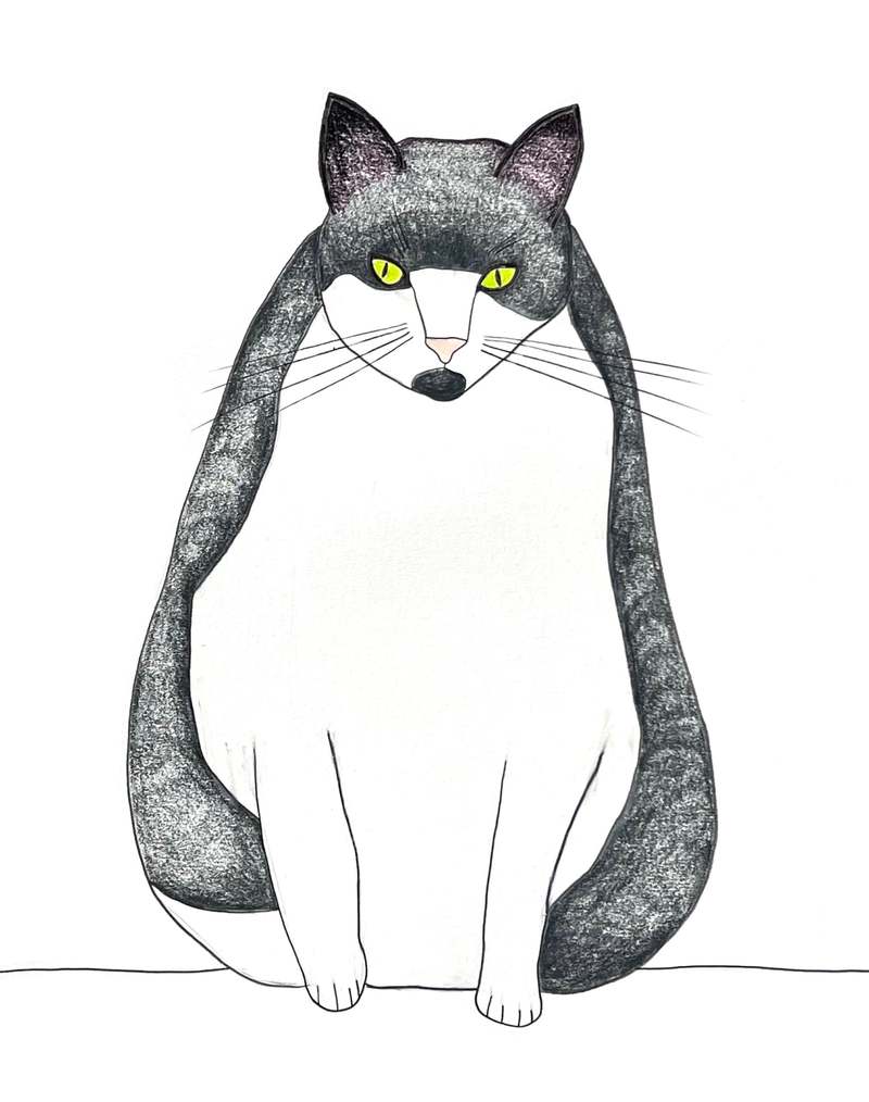 Natchie Cat Cat Greeting Card Pack