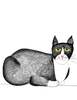Natchie Cat Cat Greeting Card Pack - Thumbnail 8