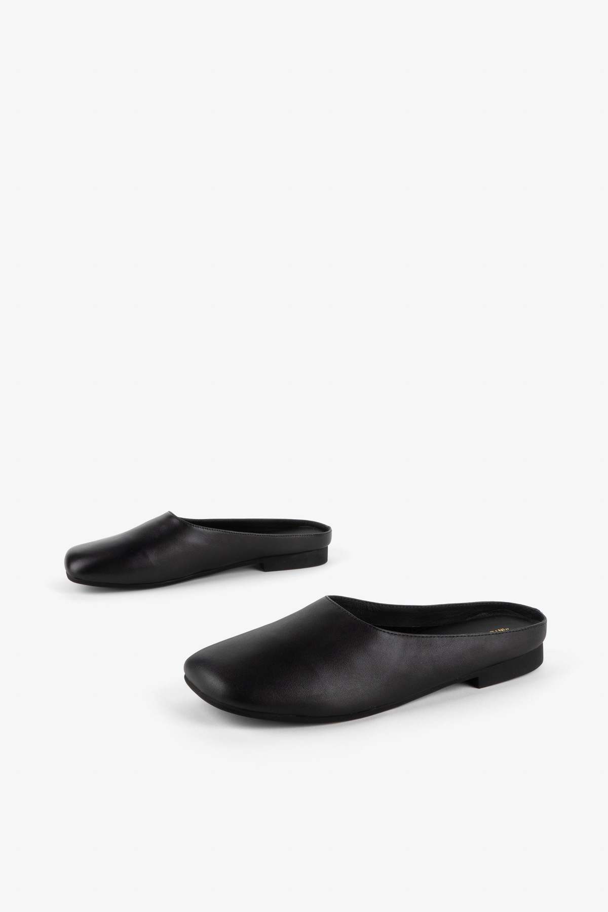 "INTENTIONALLY __________." Sync Mule - Image 3 of 17