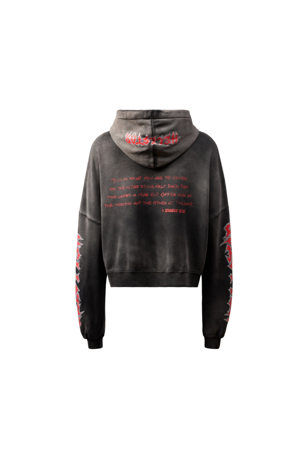 Hellstar Lamb Hoodie - Black