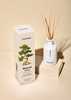 Osmology Bonsai Tree Reed Diffuser - Birch Sap Orange and Yuzu - Thumbnail 1