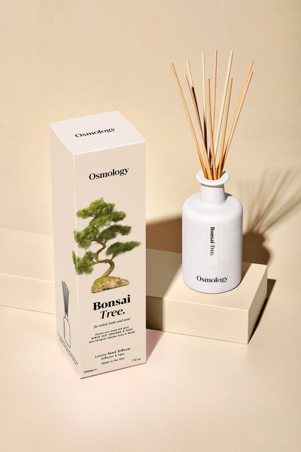 Osmology Bonsai Tree Reed Diffuser - Birch Sap Orange and Yuzu