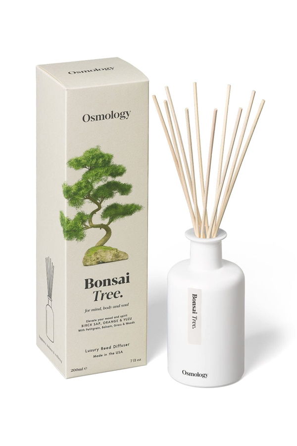 Osmology Bonsai Tree Reed Diffuser - Birch Sap Orange and Yuzu
