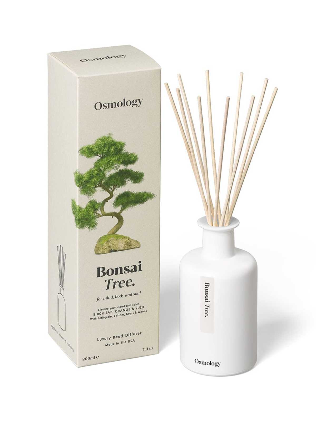 Osmology Bonsai Tree Reed Diffuser - Birch Sap Orange and Yuzu - Image 2 of 2