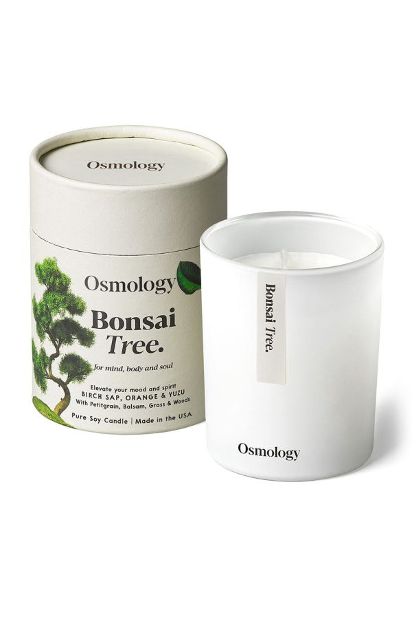 Osmology Bonsai Tree Scented Candle
