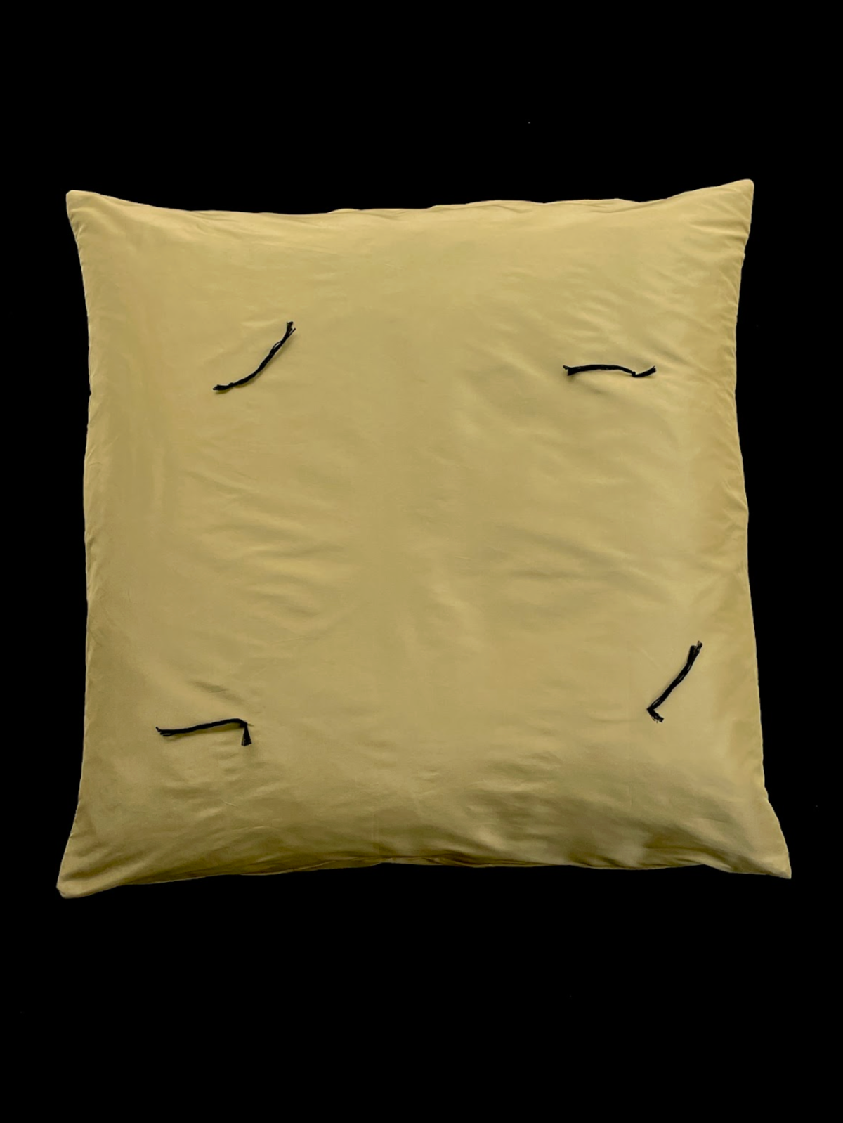 Pien Studios Pien Pillow Cover - Image 1 of 2