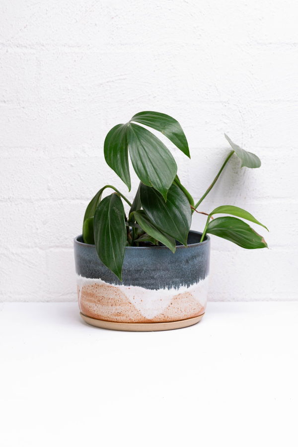 Leaf & Thread Wide Landscape Planter