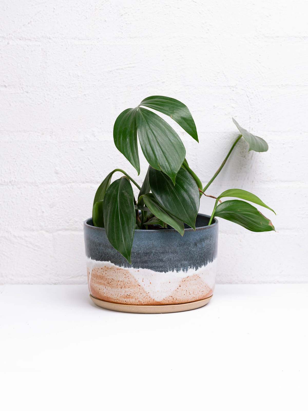 Leaf & Thread Wide Landscape Planter - Image 2 of 2