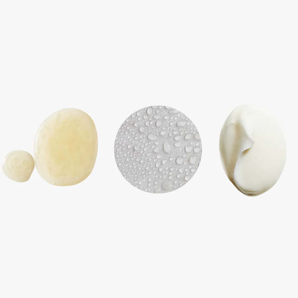 Botnia Bestsellers Kit