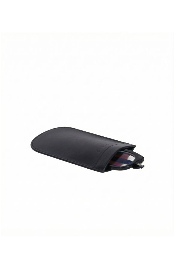 GAG BAG AIS Glasses Case