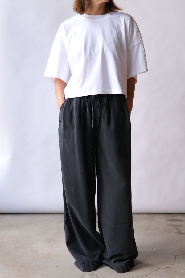Closed Wynston Pants