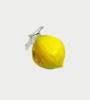 YVMIN Lemon Hair Claw Hair Clip - Thumbnail 1