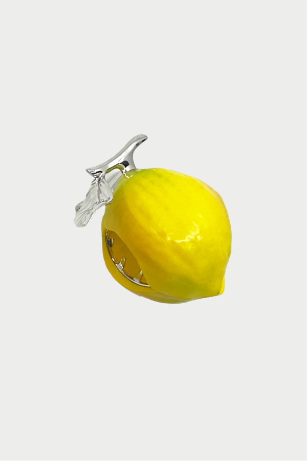 YVMIN Lemon Hair Claw Hair Clip