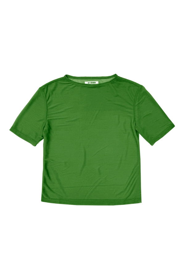 Ali Golden Grass Green New Mesh T-Shirt Top