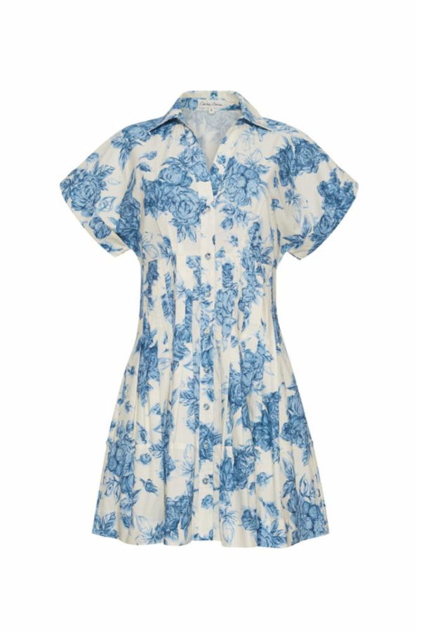 Cara Cara Nash Mini Dress - Tossed Floral Blue