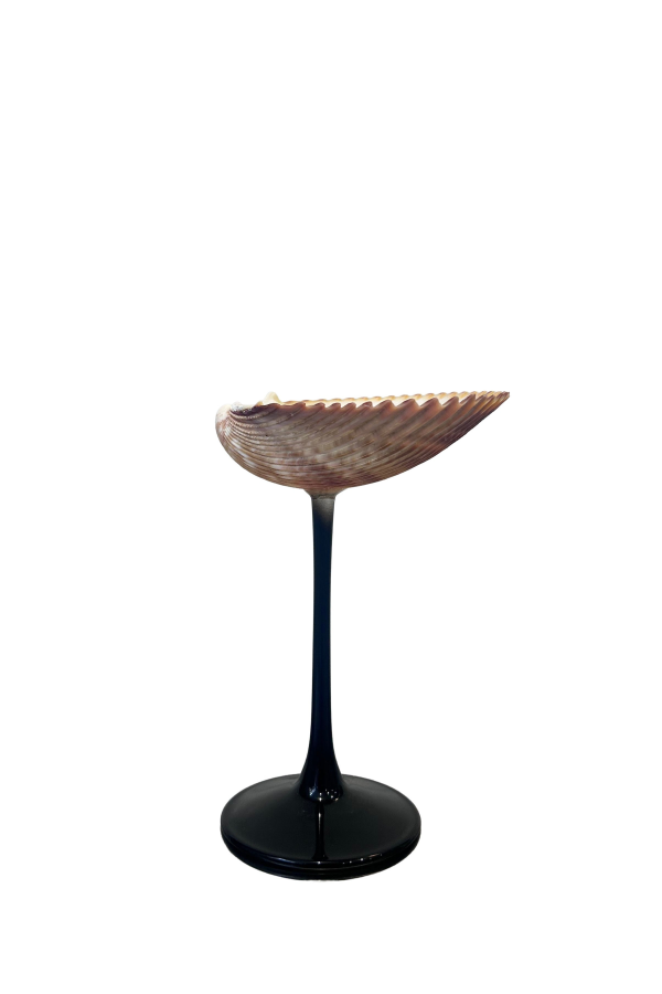 London Atelier Byproduct Shell Ribbed Cocktail Glasses