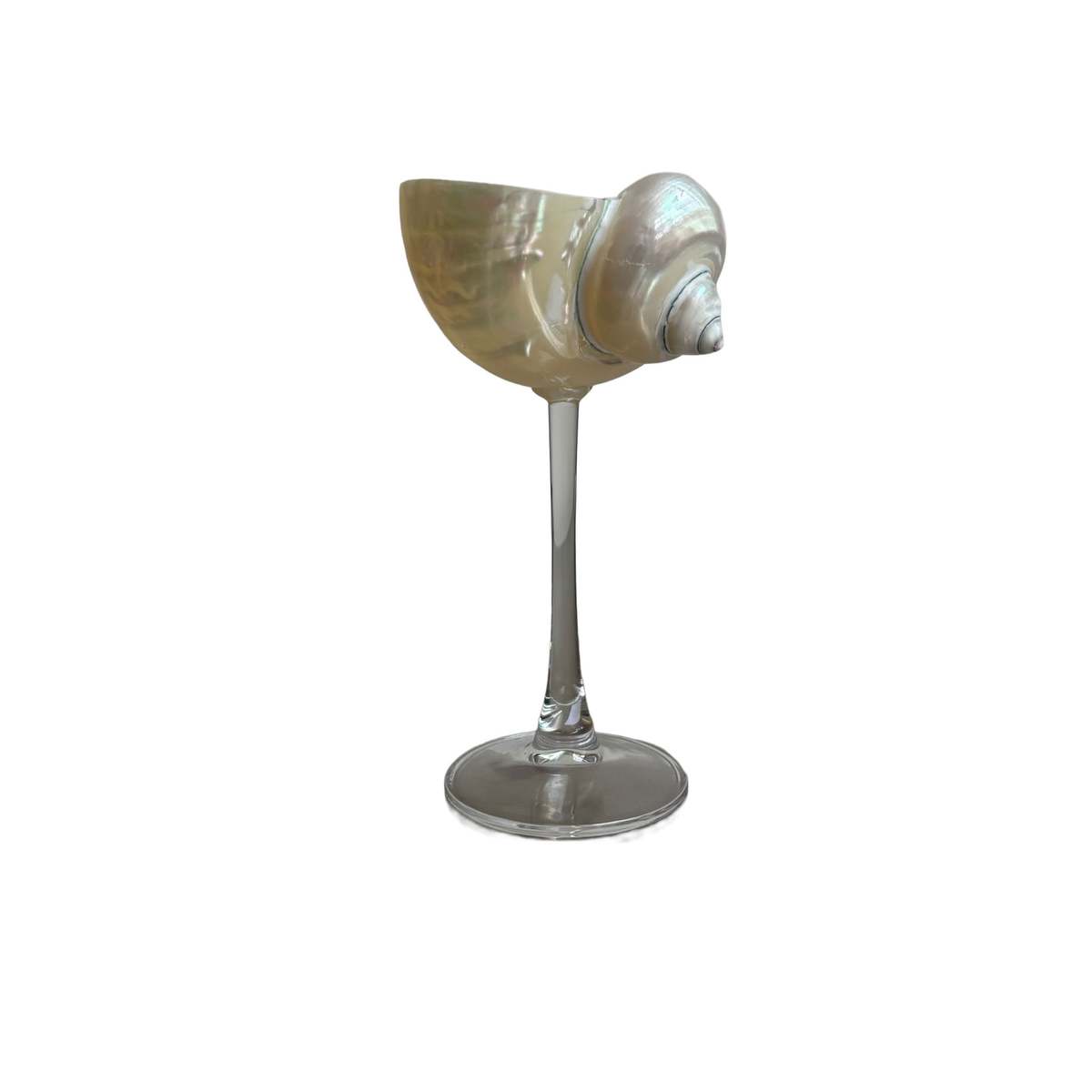 London Atelier Byproduct Shell Cocktail Glass - Image 1 of 5