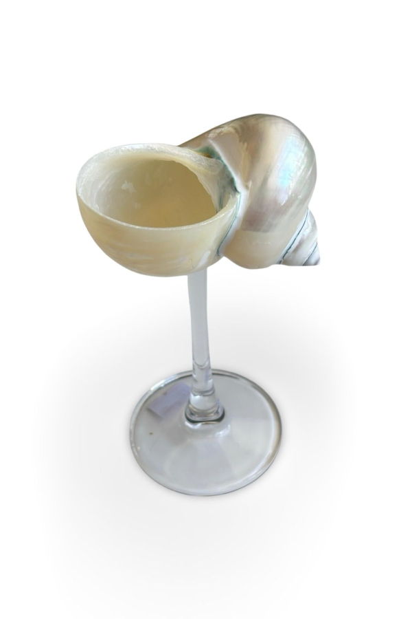 London Atelier Byproduct Shell Cocktail Glass