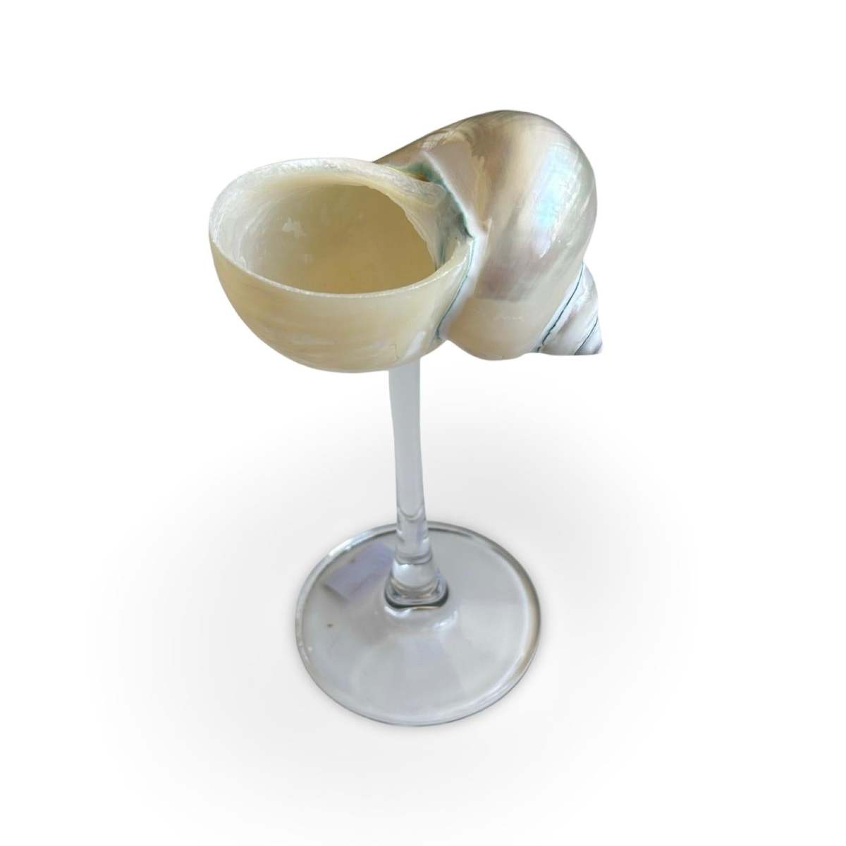 London Atelier Byproduct Shell Cocktail Glass - Image 2 of 5