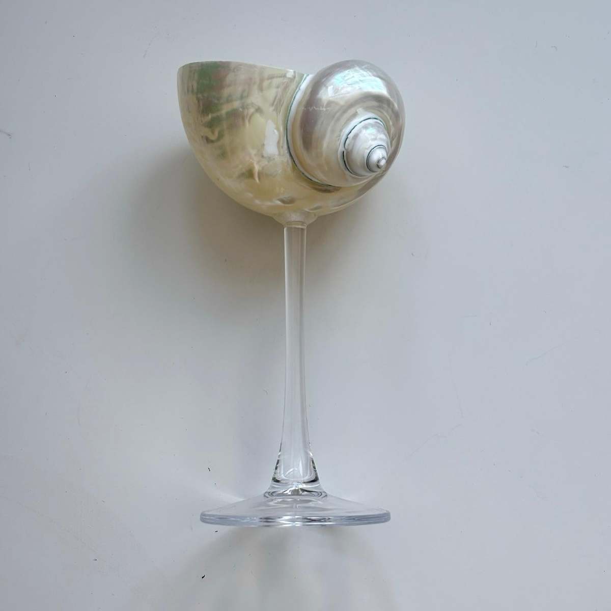 London Atelier Byproduct Shell Cocktail Glass - Image 3 of 5