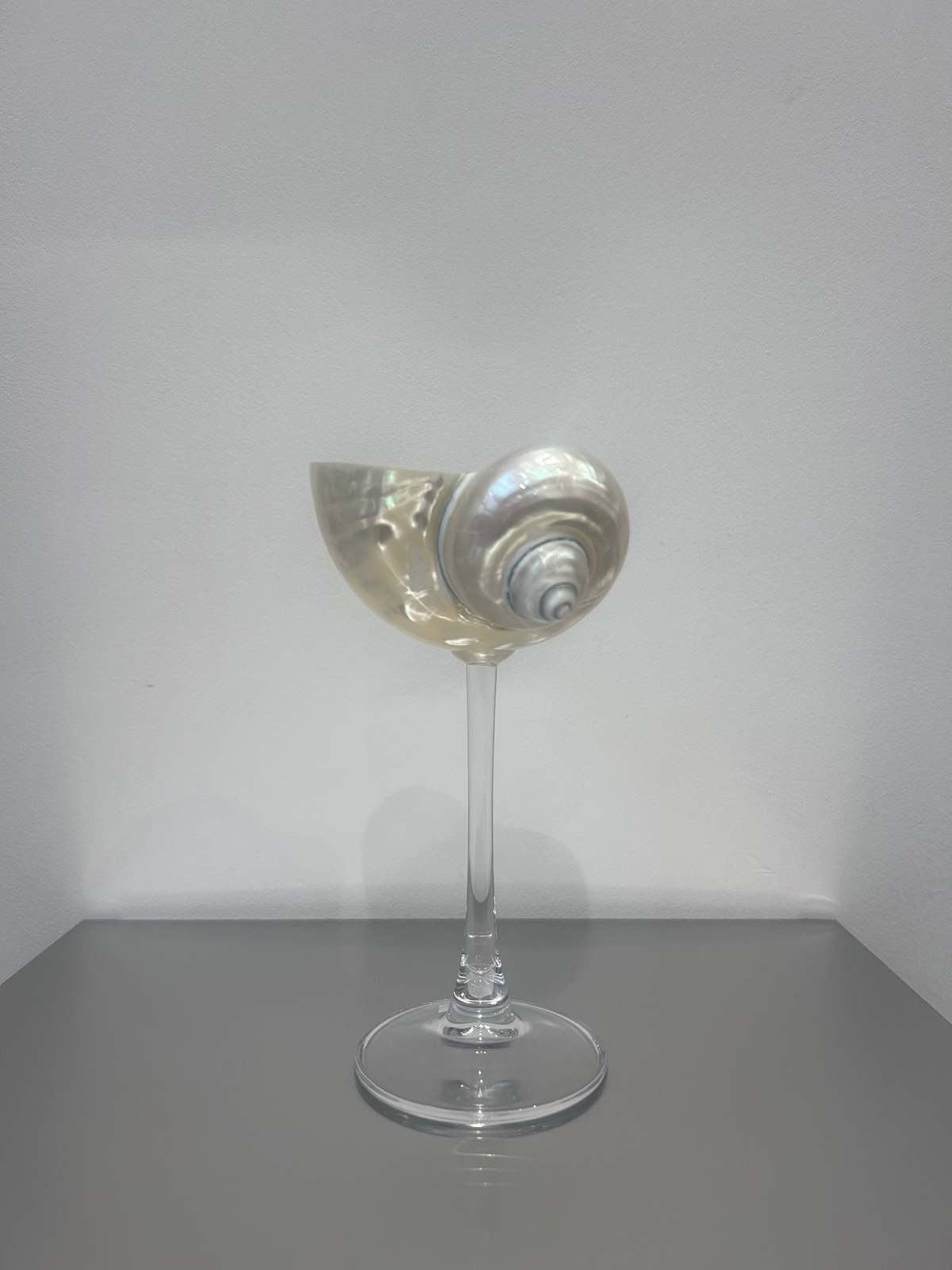 London Atelier Byproduct Shell Cocktail Glass - Image 4 of 5