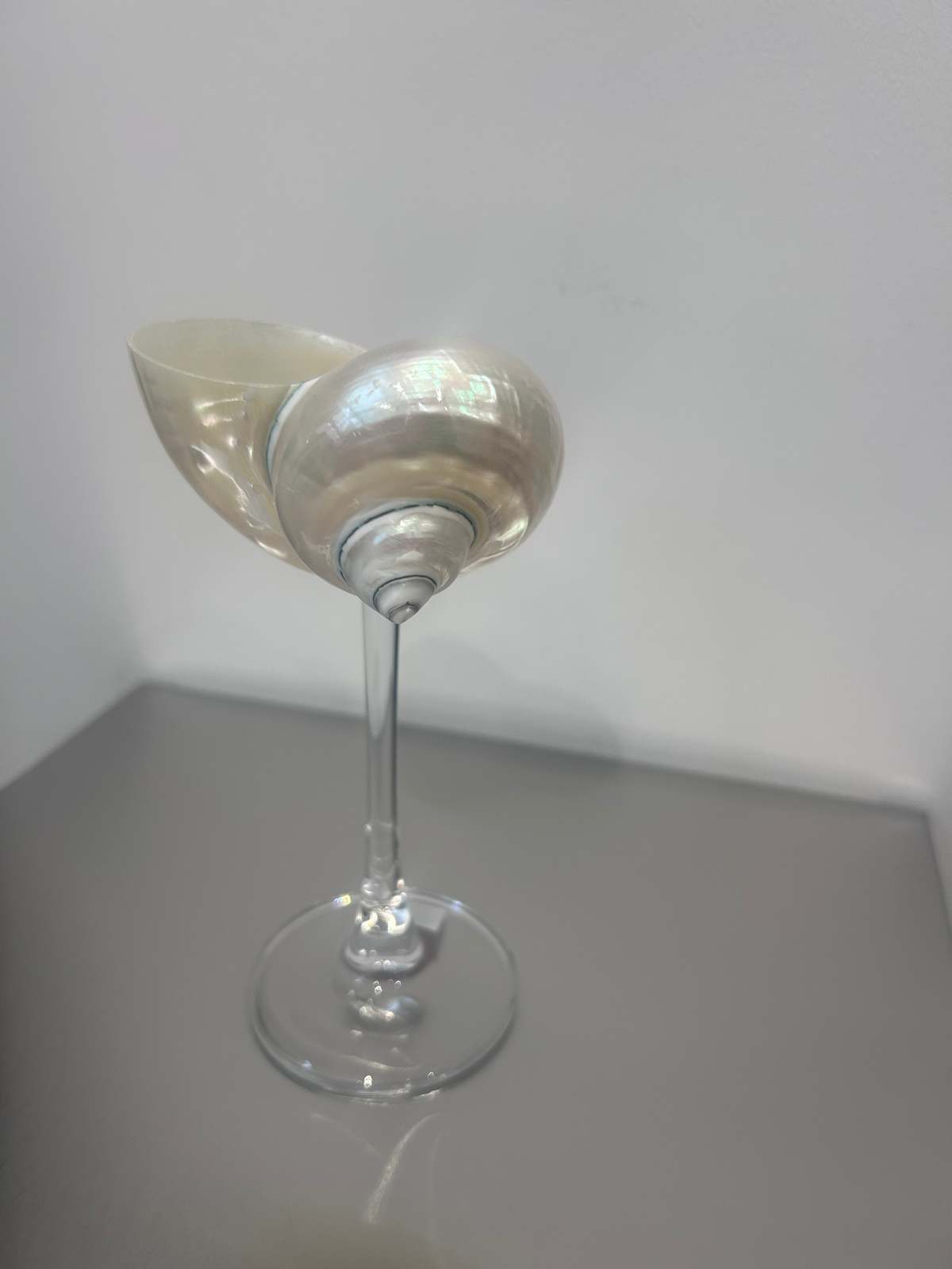 London Atelier Byproduct Shell Cocktail Glass - Image 5 of 5