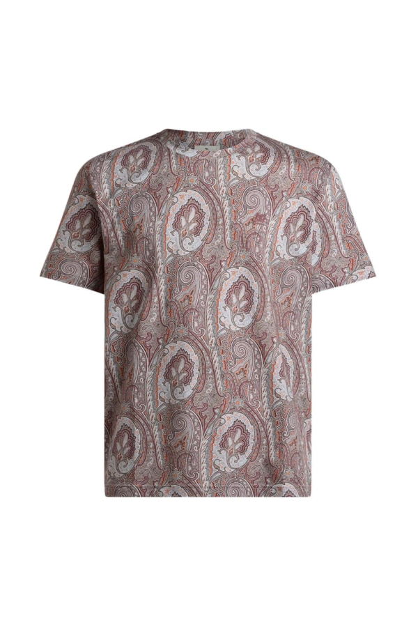 Etro T-Shirt - Brown/Neutrals
