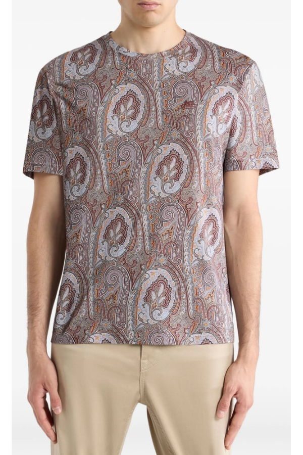 Etro T-Shirt - Brown/Neutrals